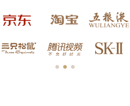 主流電商與一線品牌